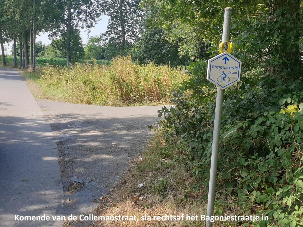 Vila Eden Sint-Pauwels Exteriér fotografie